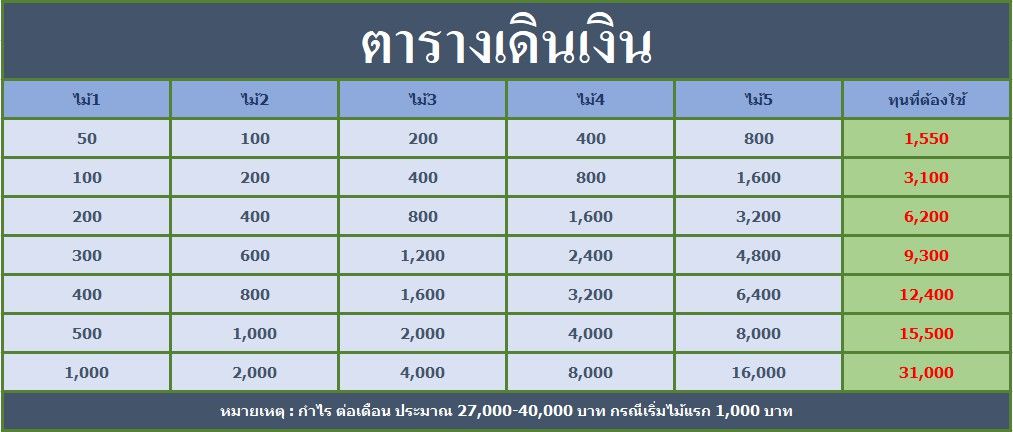 ตารางเดินเงิน